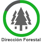 direccion forestal